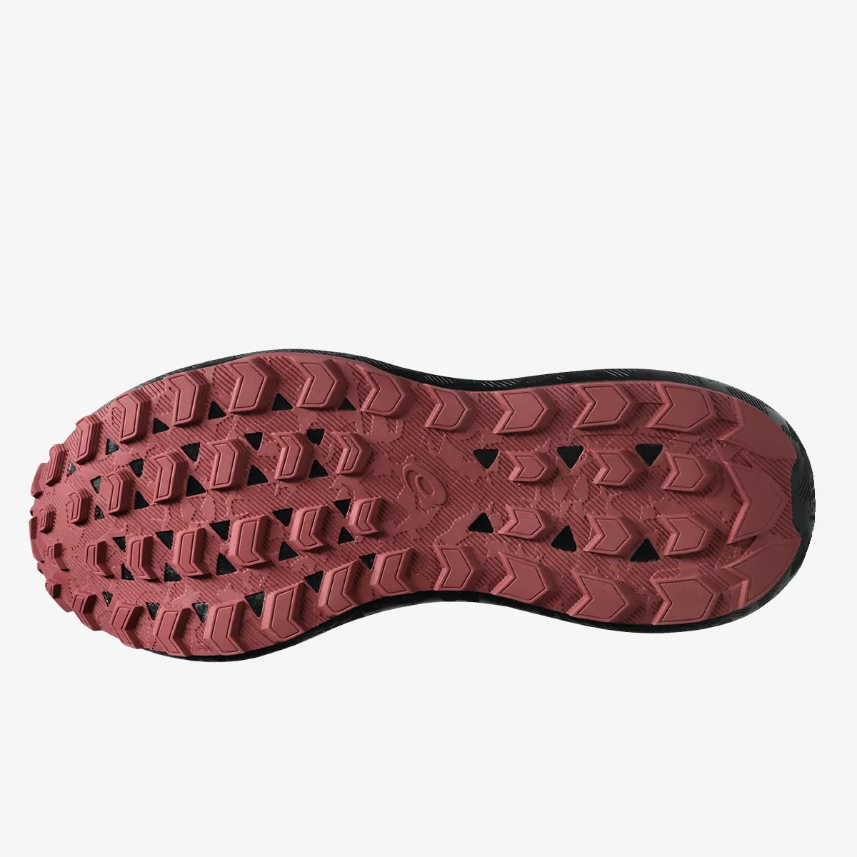 Asics Patike GEL-SONOMA 8 GTX 