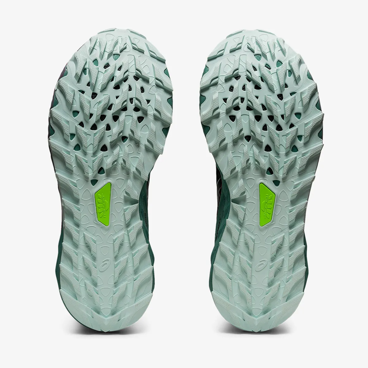 Asics Patike GEL-Trabuco 10 GTX 