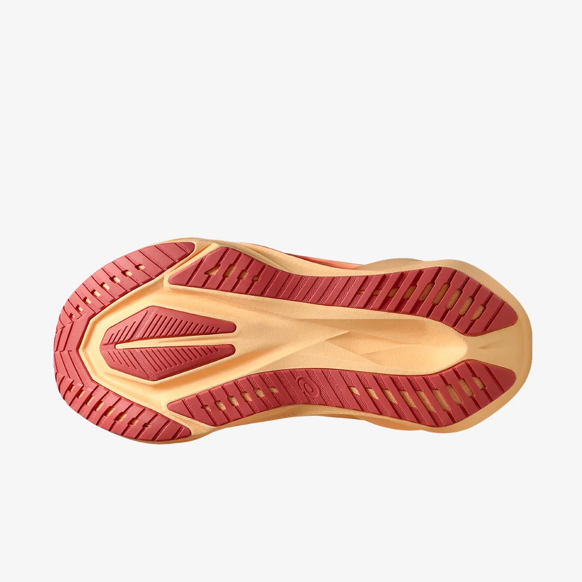 Asics Patike Novablast 5