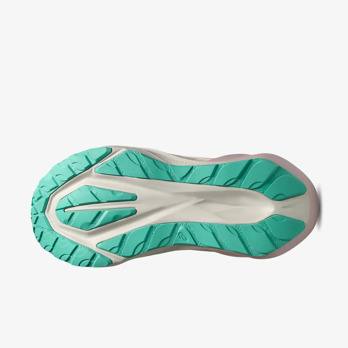 Asics Patike NOVABLAST 5 TR 