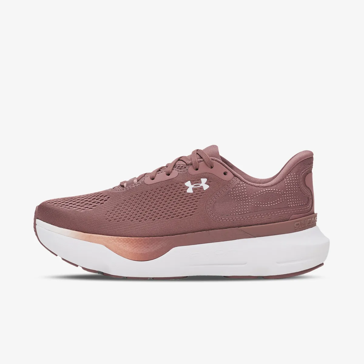 Under Armour Patike UA W Infinite Pro 2 