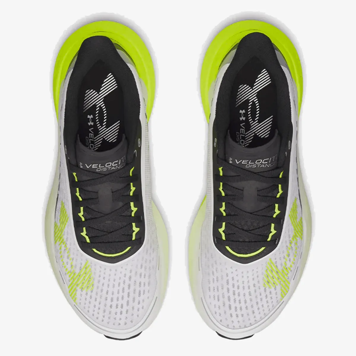 Under Armour Patike UA Velociti Distance 