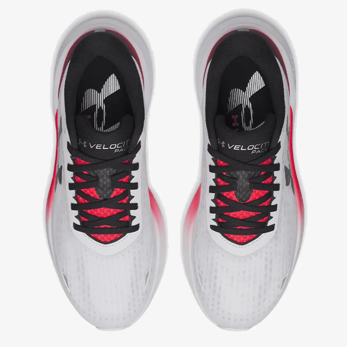 Under Armour Patike UA Velociti Pace 