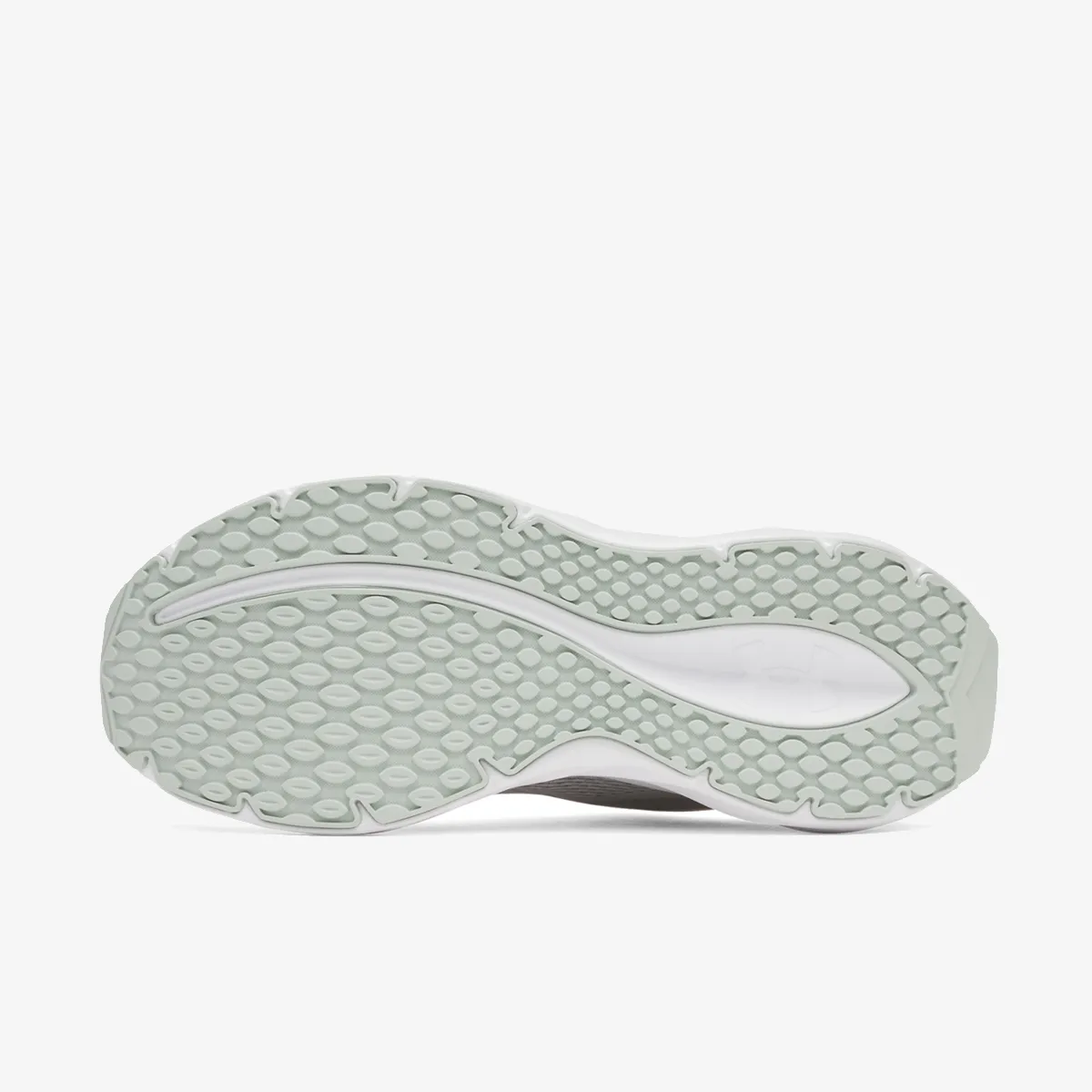 Under Armour Patike UA Ascend
