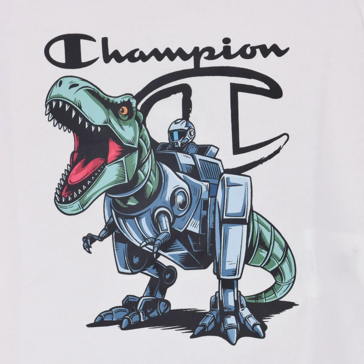 ŠORC I MAJICA CHMP DINO SET 