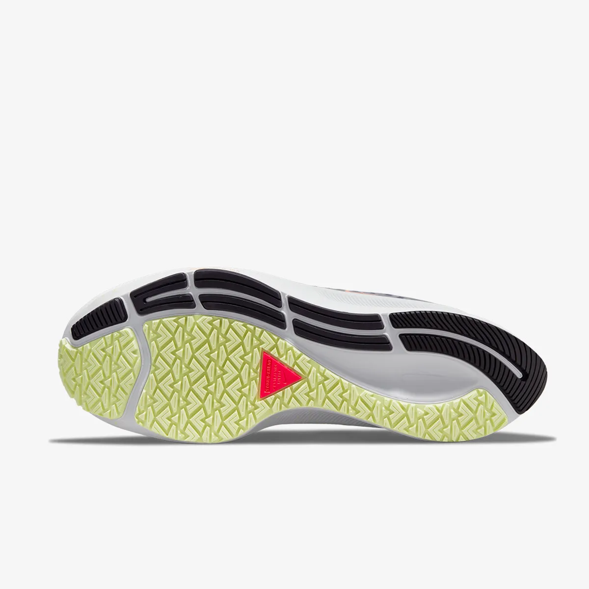 Nike Patike W AIR ZOOM PEGASUS 38 SHIELD 