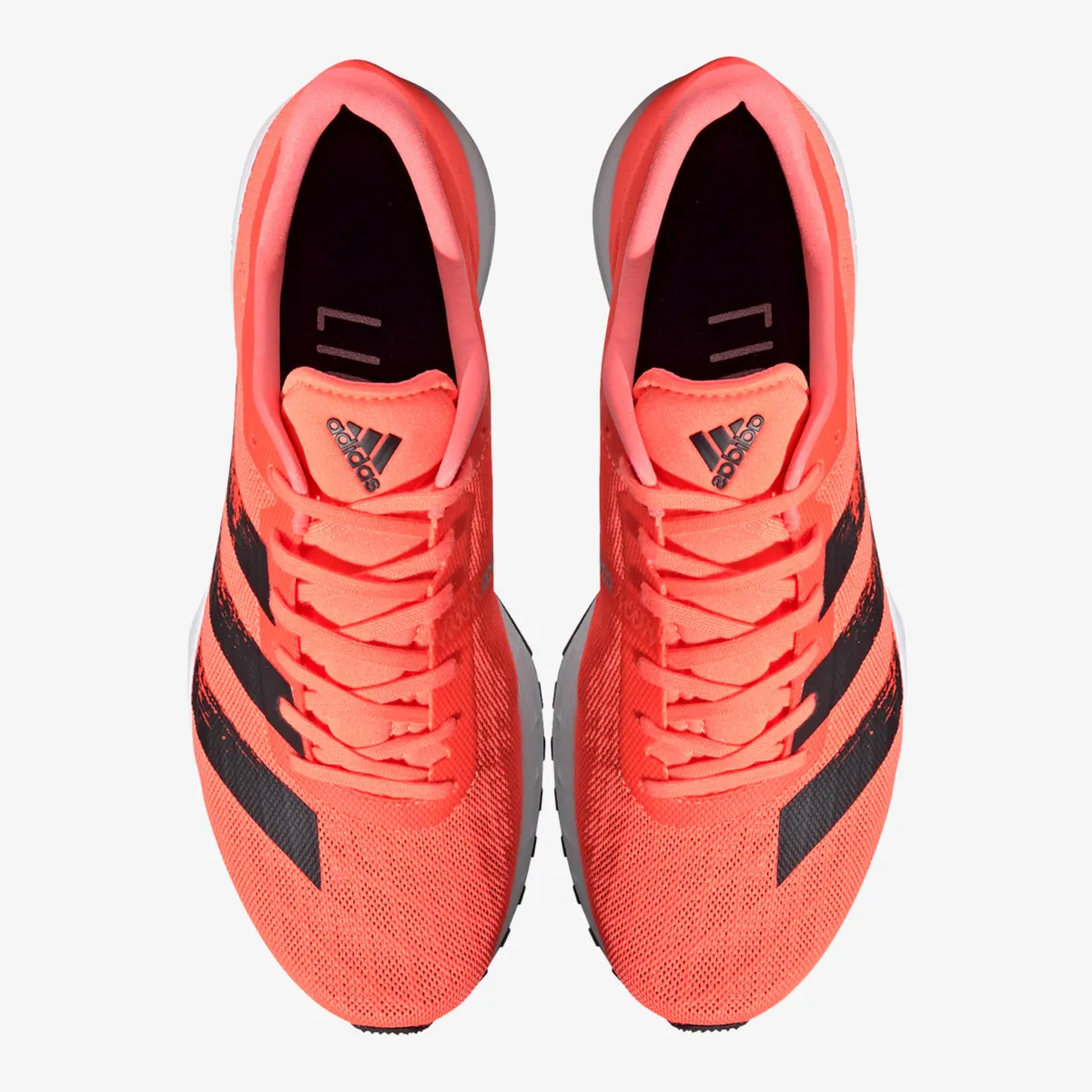 adidas Patike adizero RC 2 m