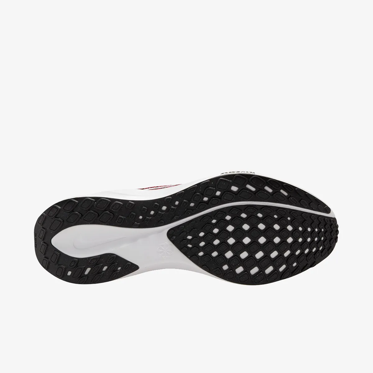 Nike Patike Air Zoom Pegasus 41 