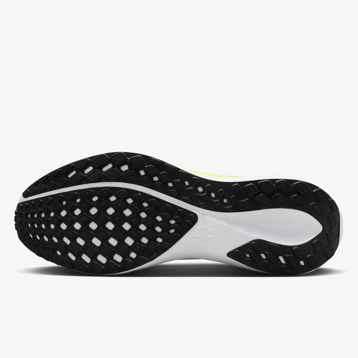 Nike Patike Air Zoom Pegasus 41 