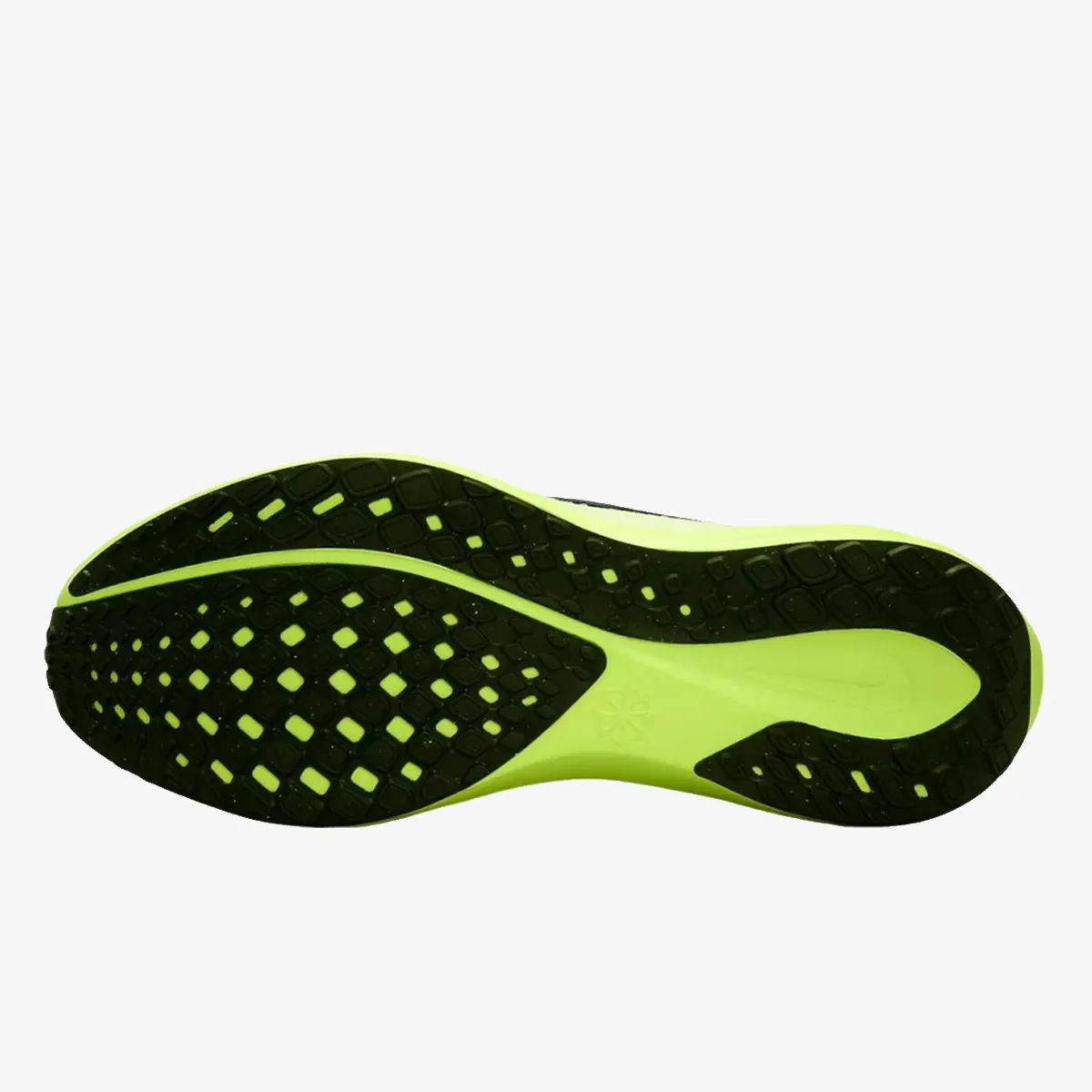 Nike Patike Pegasus 41