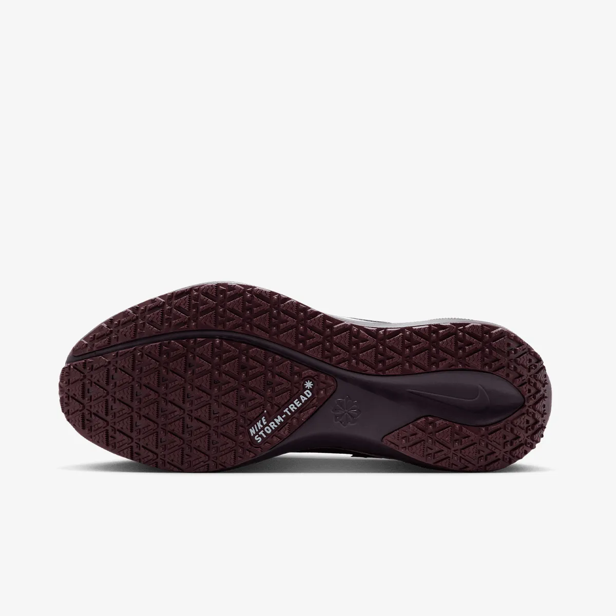 Nike Patike W AIR ZM PEGASUS 41 GTX