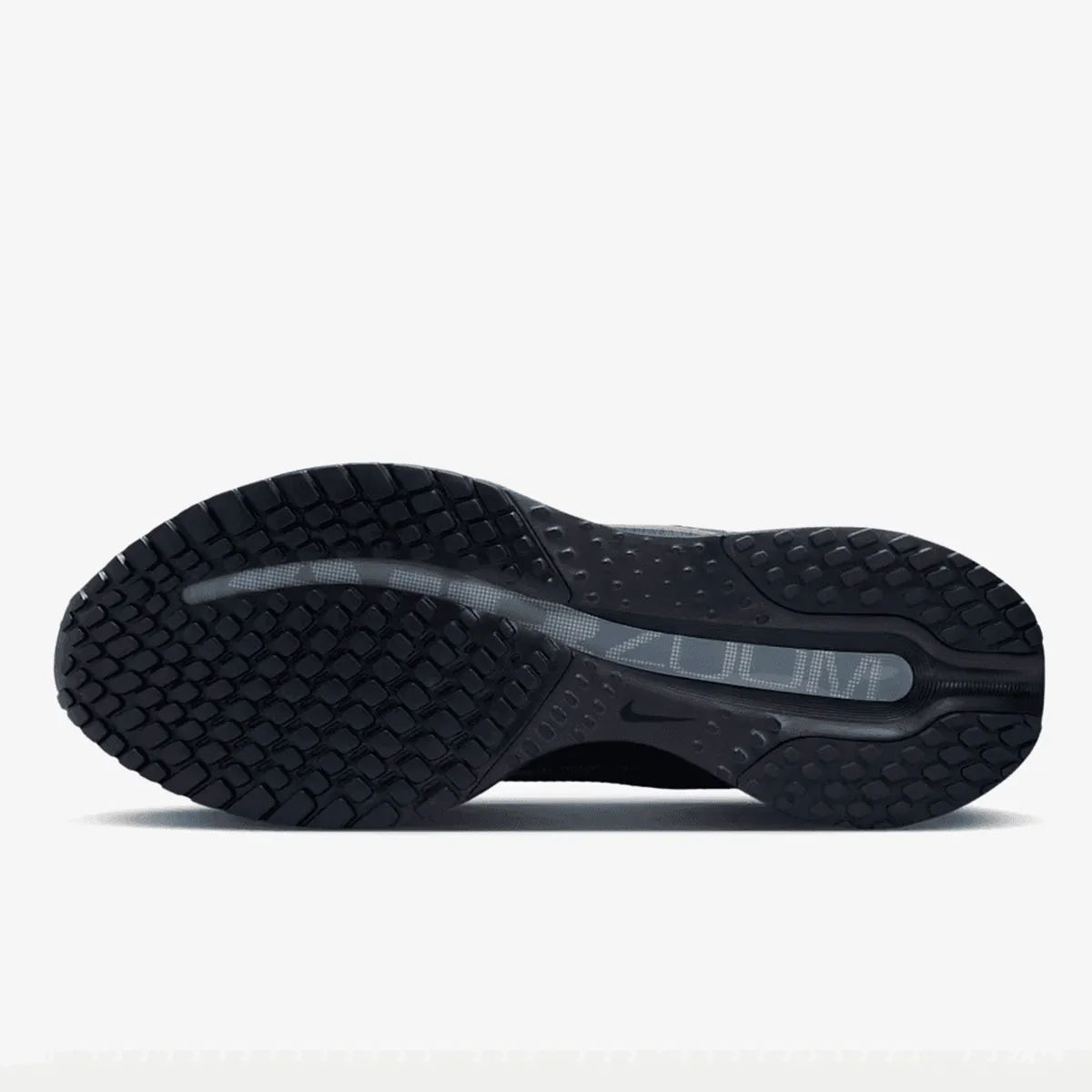 Nike Patike NIKE PEGASUS PREMIUM
