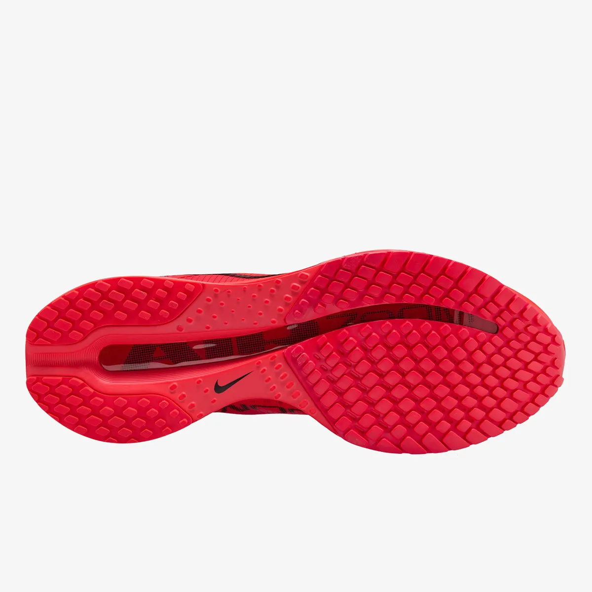 Nike Patike NIKE PEGASUS PREMIUM 