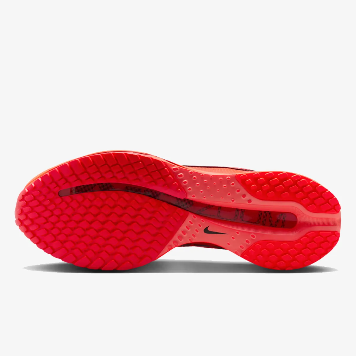 Nike Patike Pegasus Premium