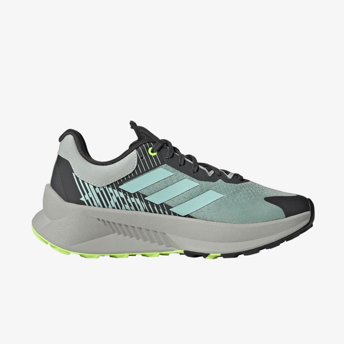 adidas Patike TERREX SOULSTRIDE FLOW GTX