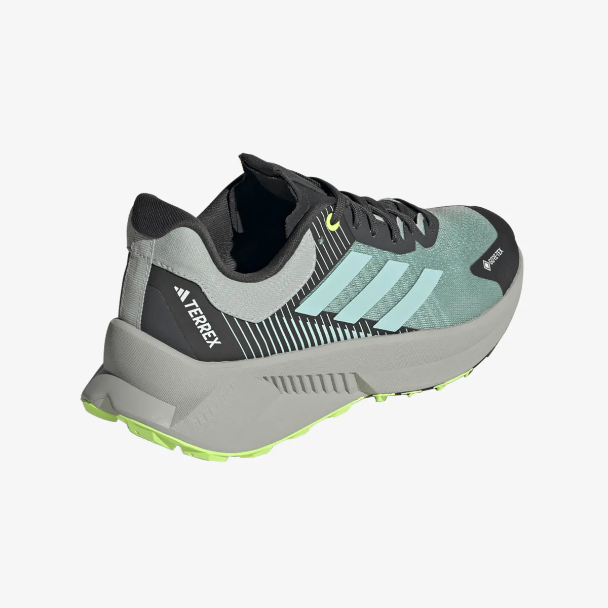adidas Patike TERREX SOULSTRIDE FLOW GTX