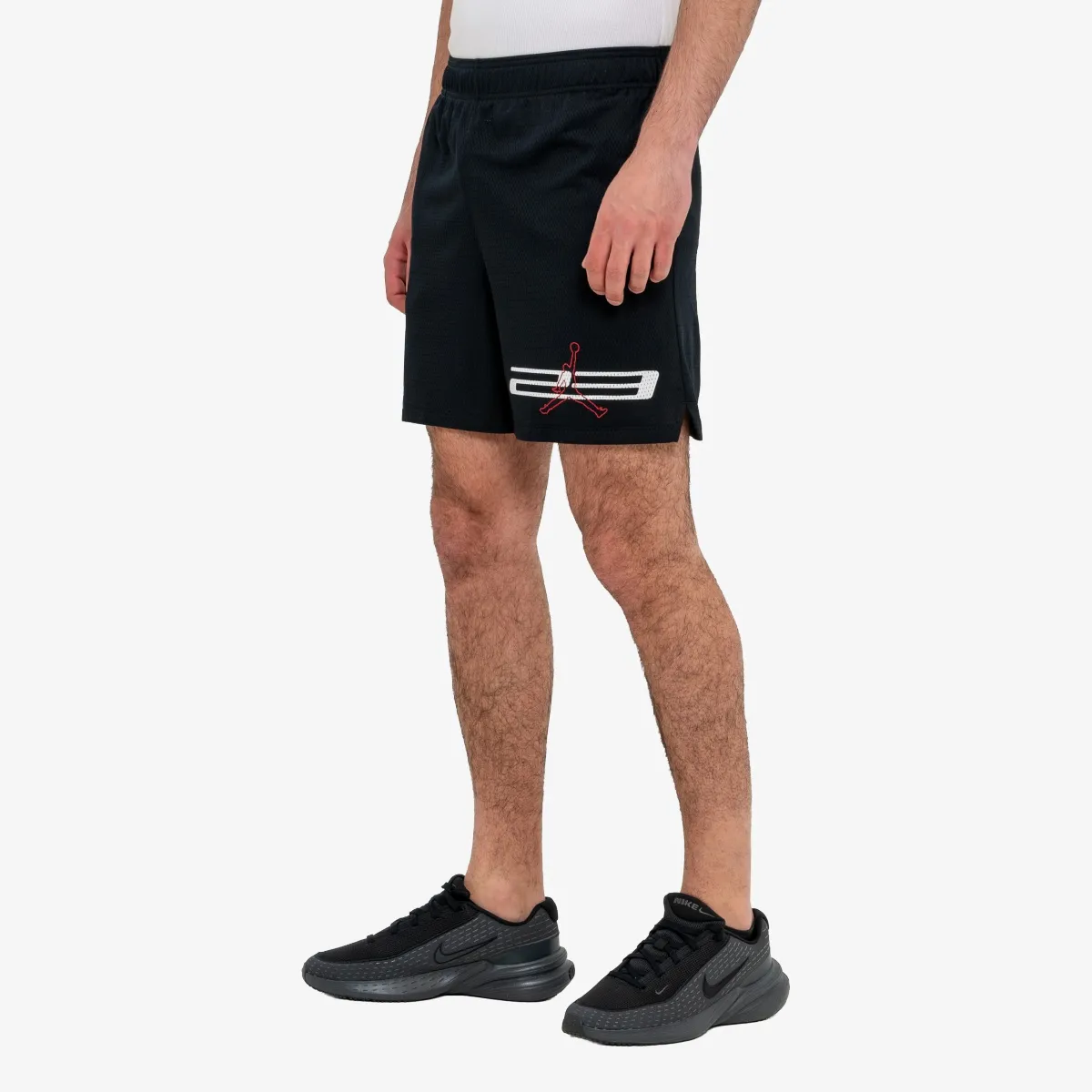 JORDAN Šorc Jordan Dri-Fit Mesh Graphic