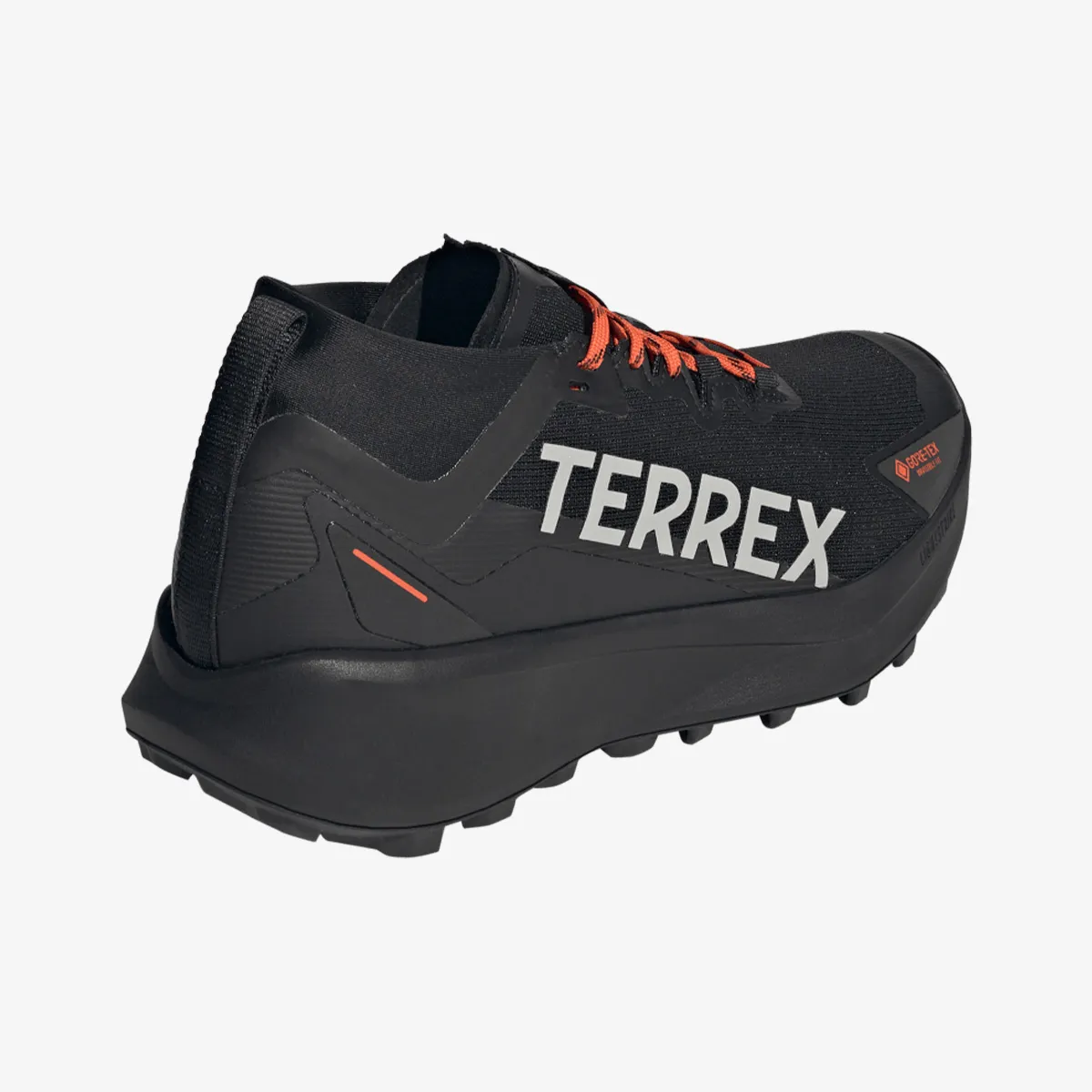 adidas Patike Terrex Agravic Gore-Tex
