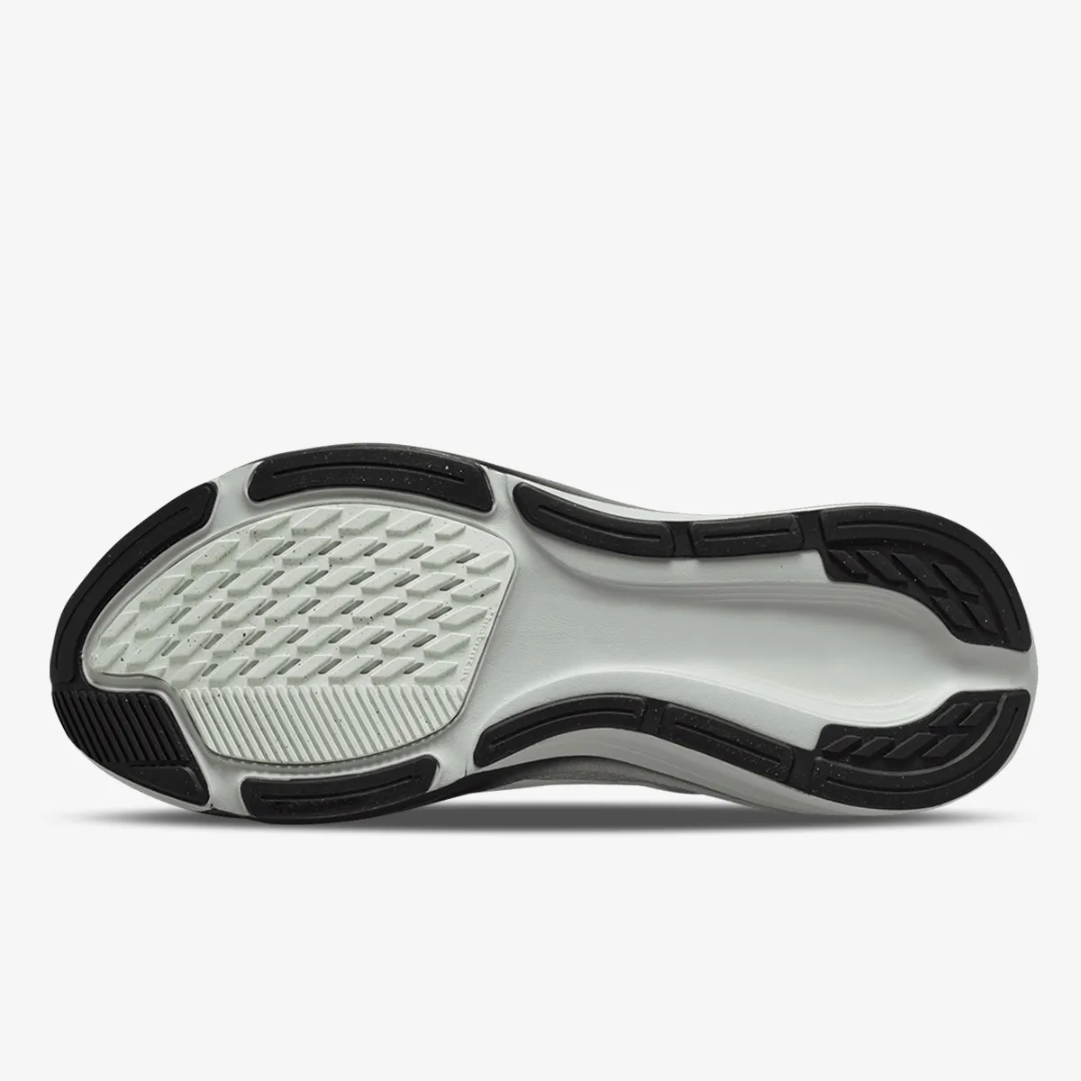 Nike Patike Air Zoom Pegasus 42 RR 