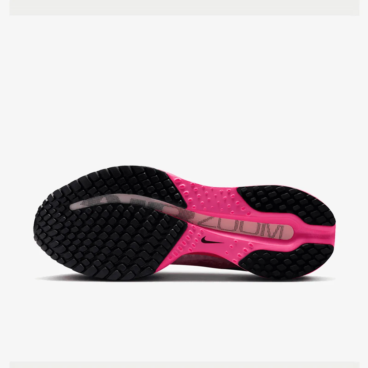 Nike Patike W NIKE PEGASUS PREMIUM RC 