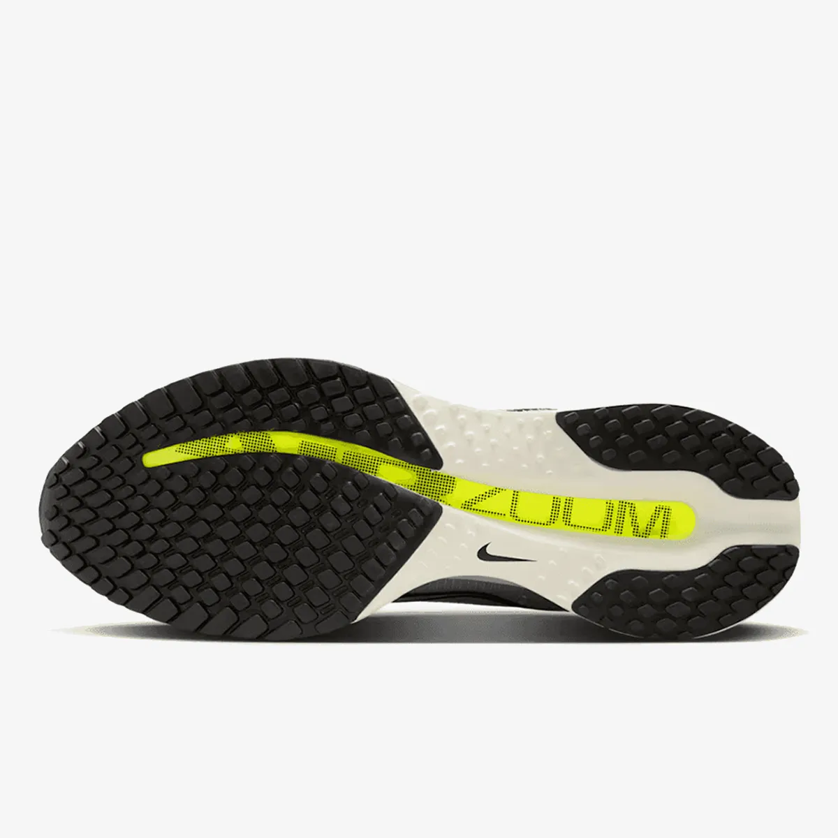 Nike Patike NIKE PEGASUS PREMIUM HR 