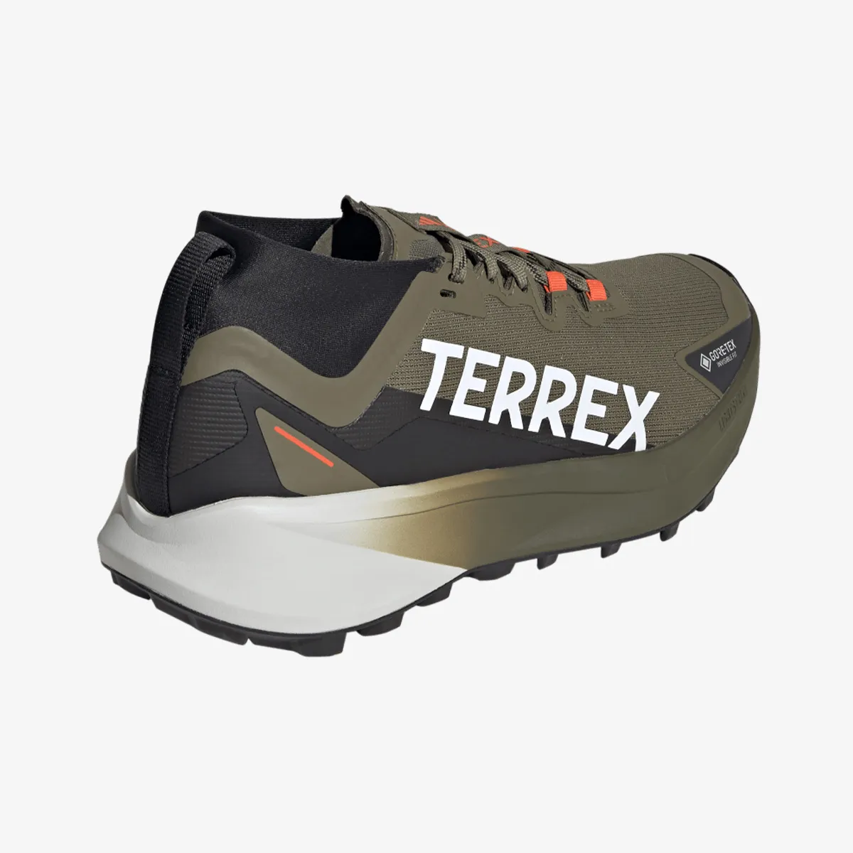 adidas Patike Terrex Agravic Gore-Tex