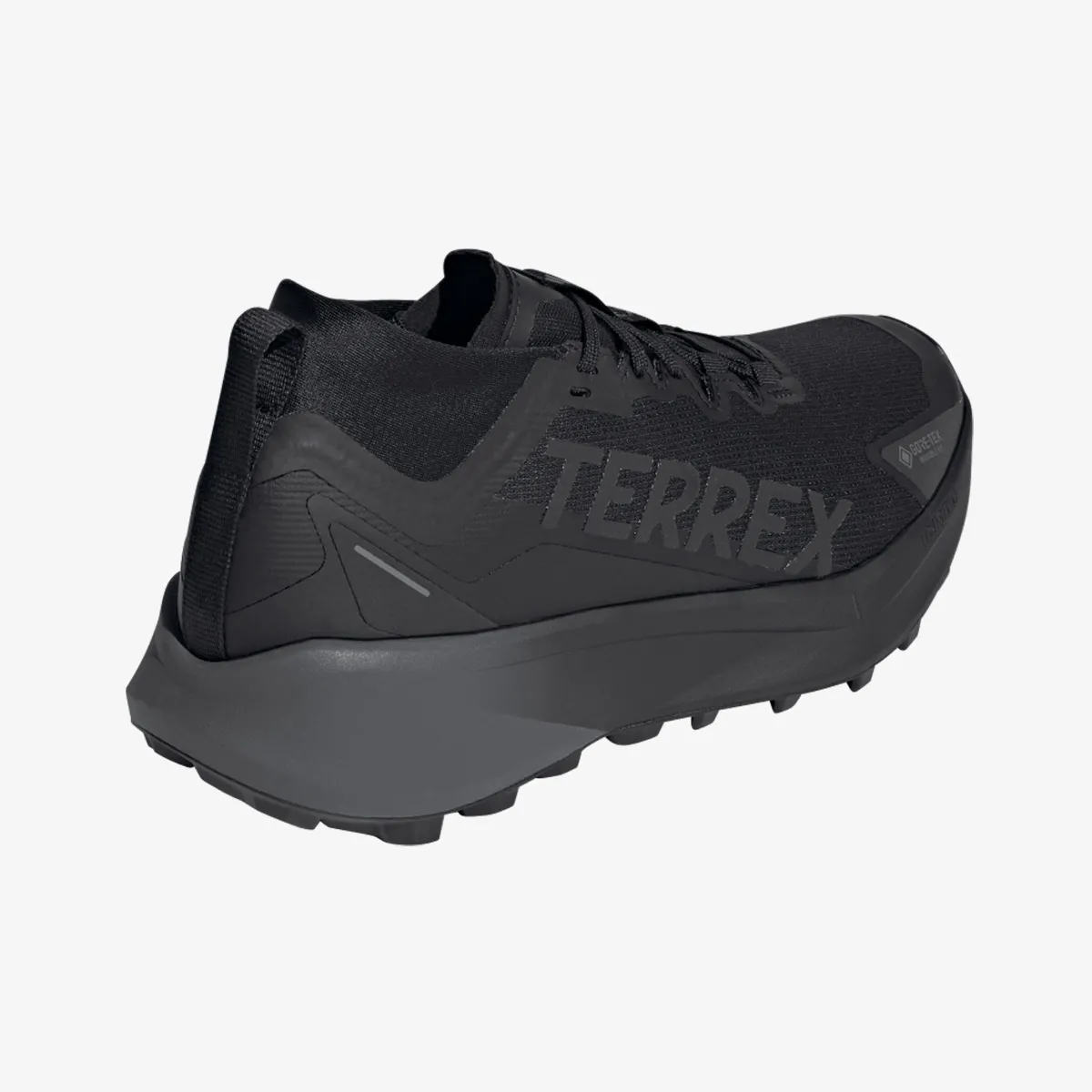 adidas Patike TERREX AGRAVIC GTX 