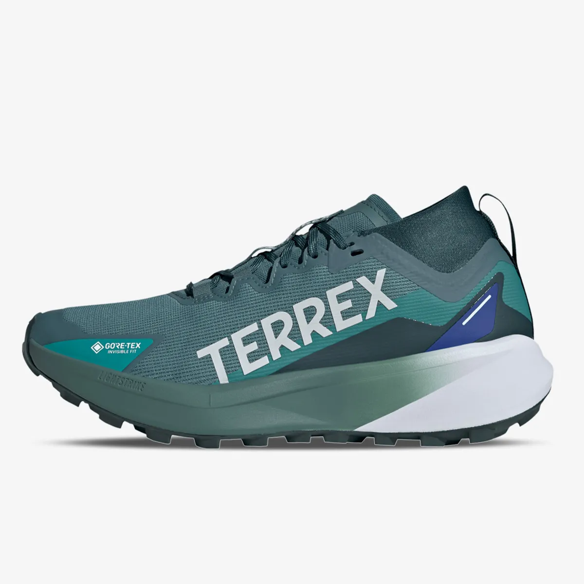 adidas Patike TERREX AGRAVIC GTX