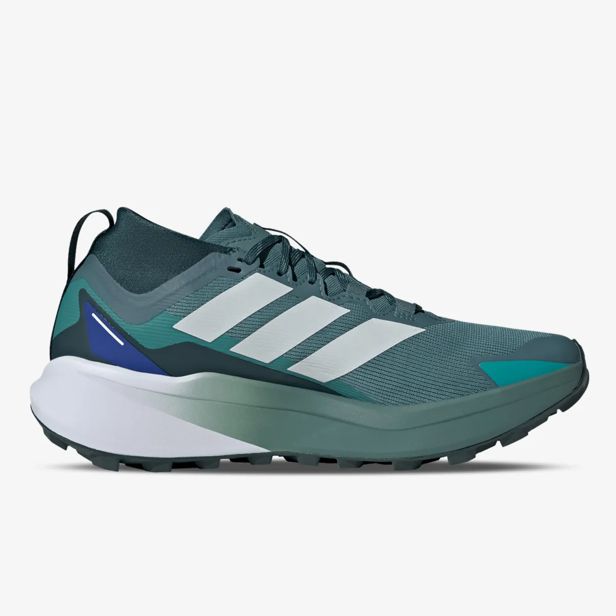 adidas Patike TERREX AGRAVIC GTX