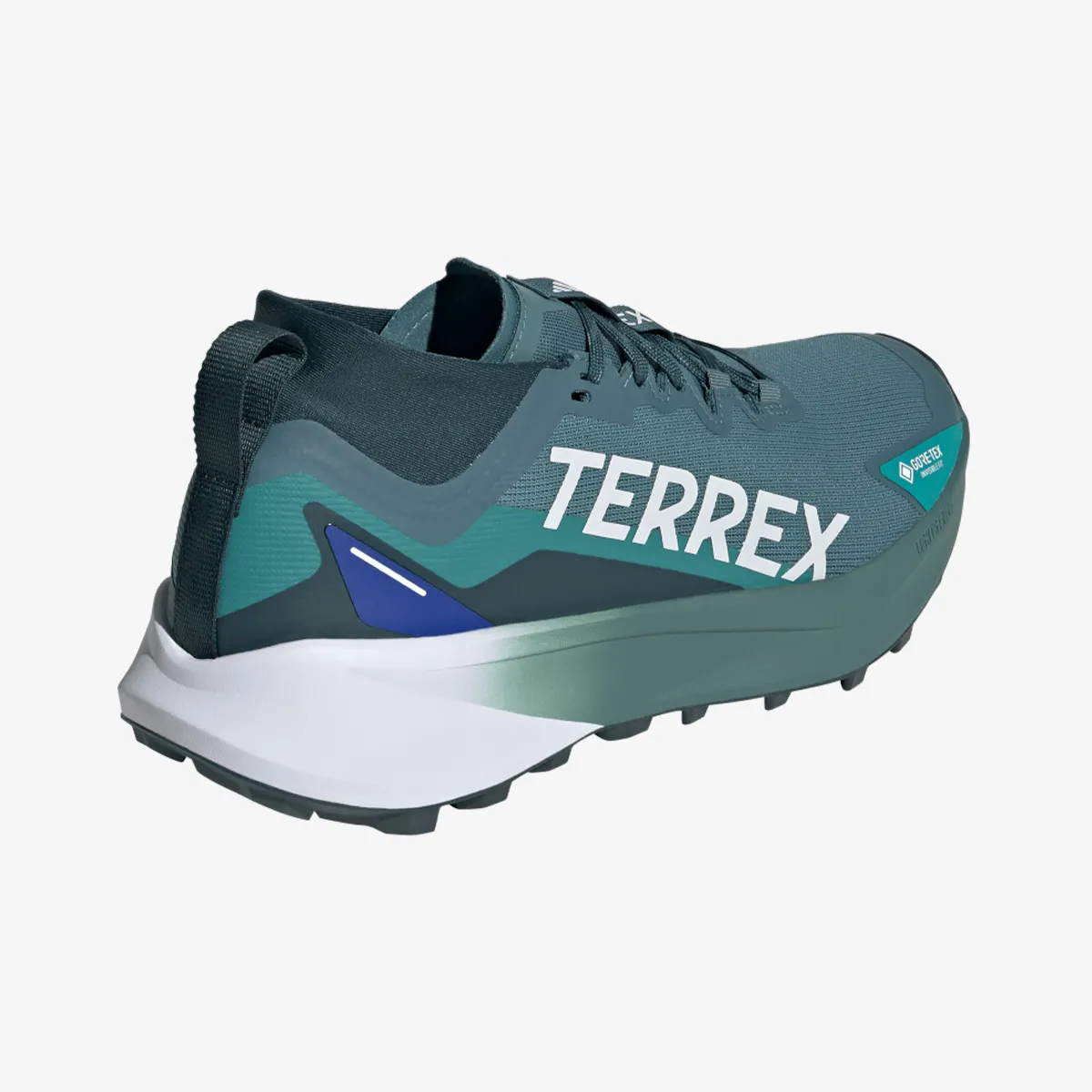 adidas Patike TERREX AGRAVIC GTX