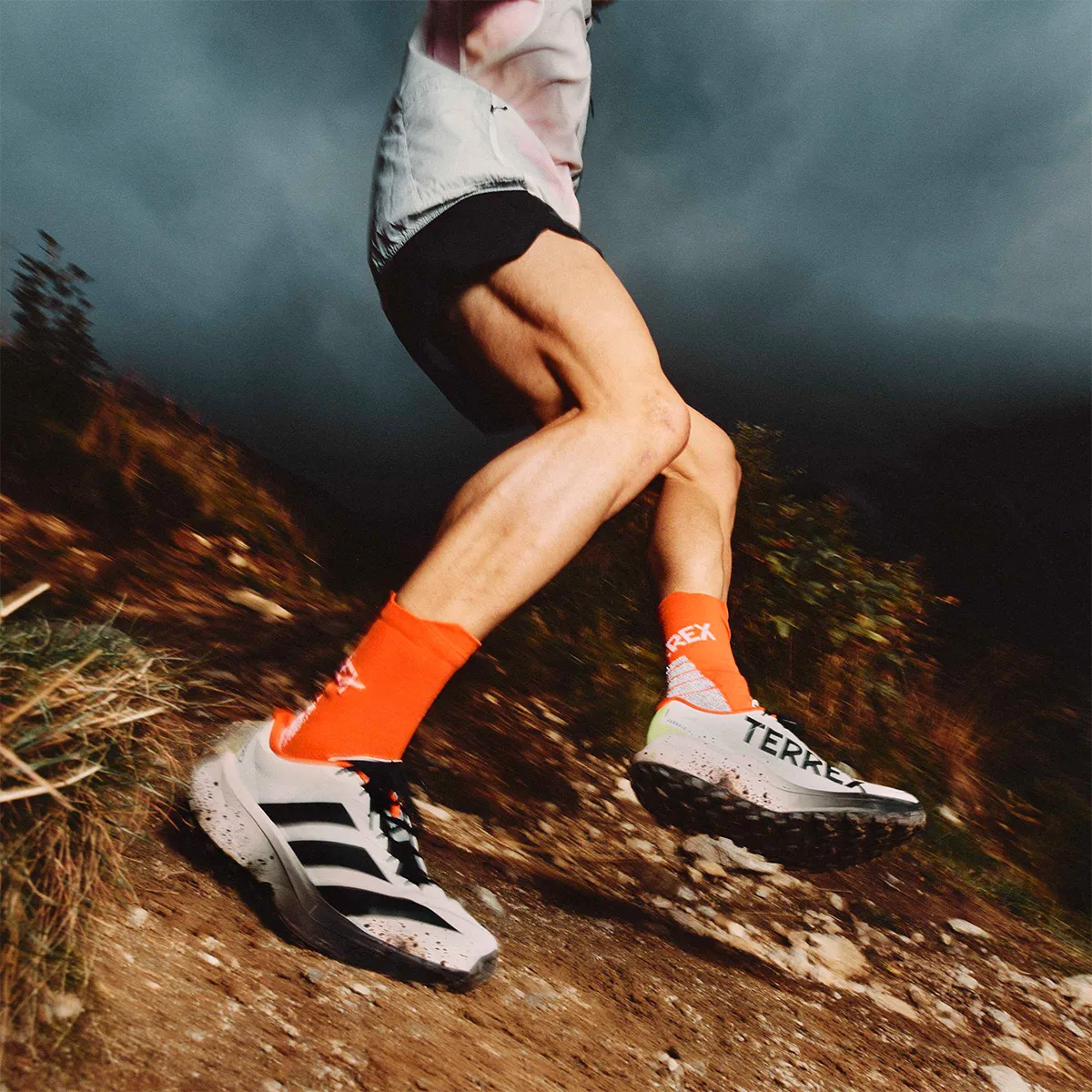 adidas Patike Terrex Agravic 4 