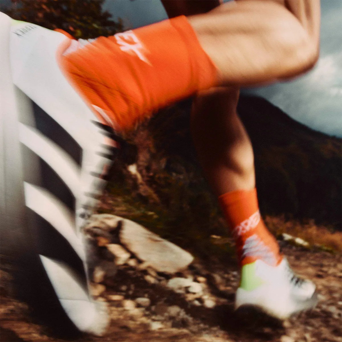 adidas Patike Terrex Agravic 4 