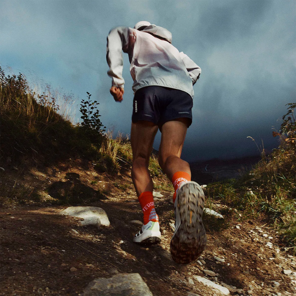 adidas Patike Terrex Agravic 4 