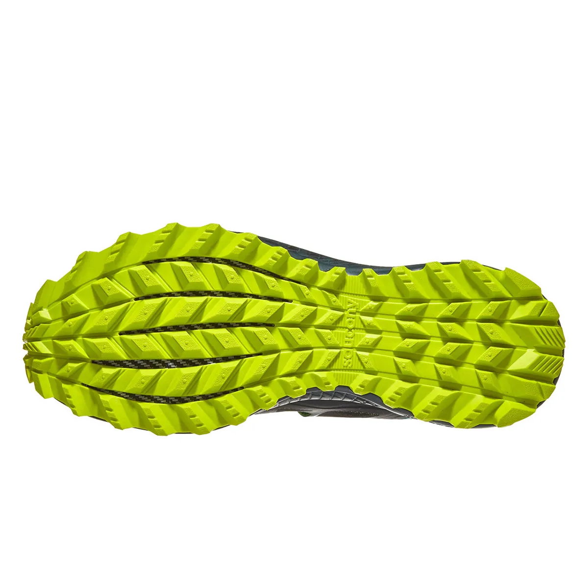 Patike PEREGRINE ISO