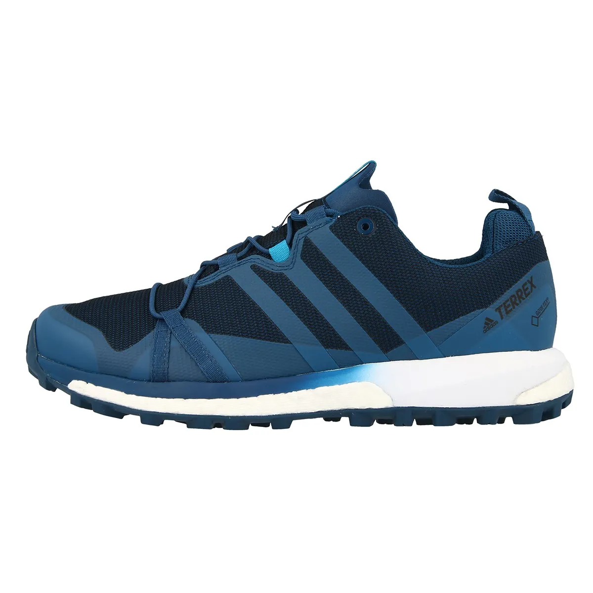 adidas Patike TERREX AGRAVIC GTX 