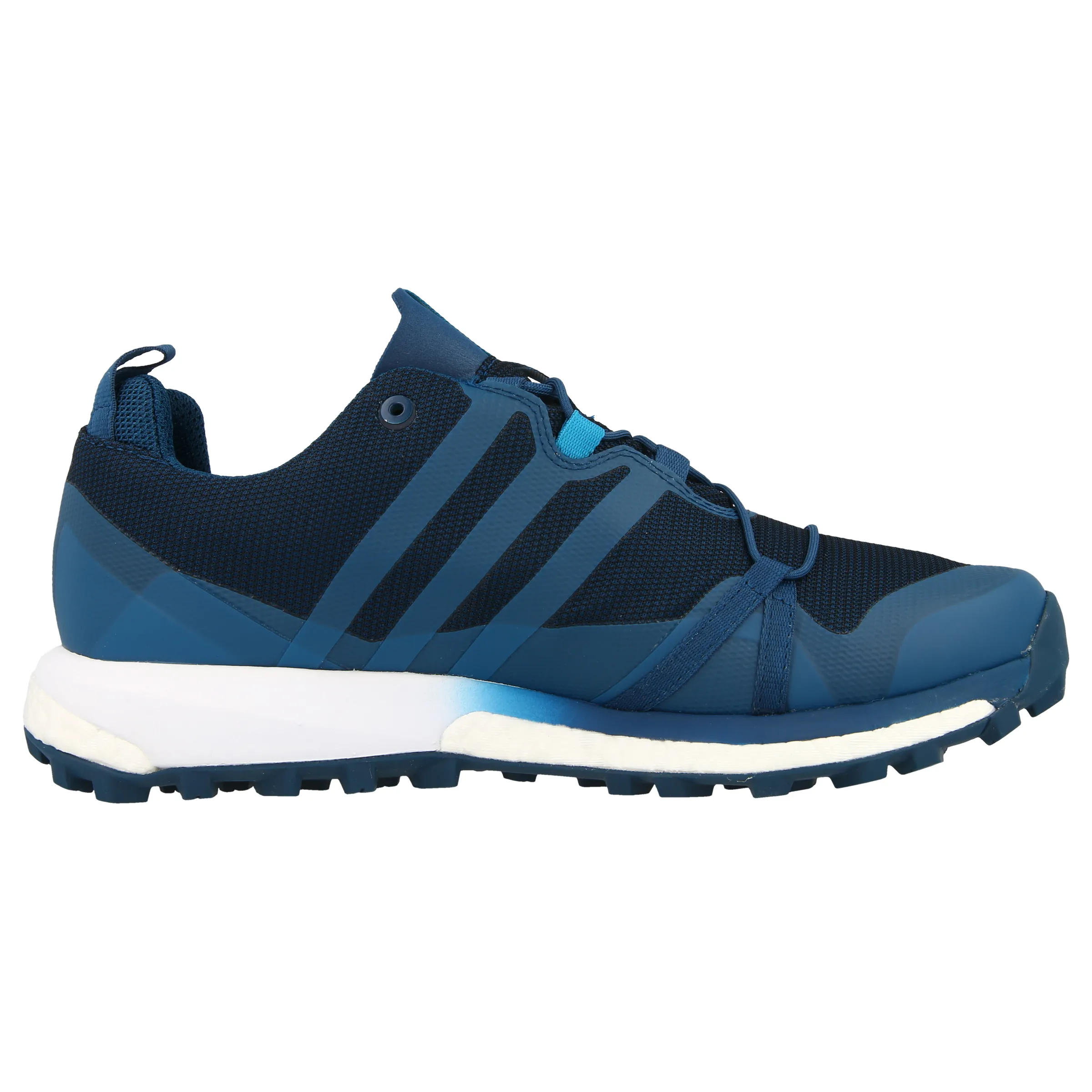 adidas Patike TERREX AGRAVIC GTX 