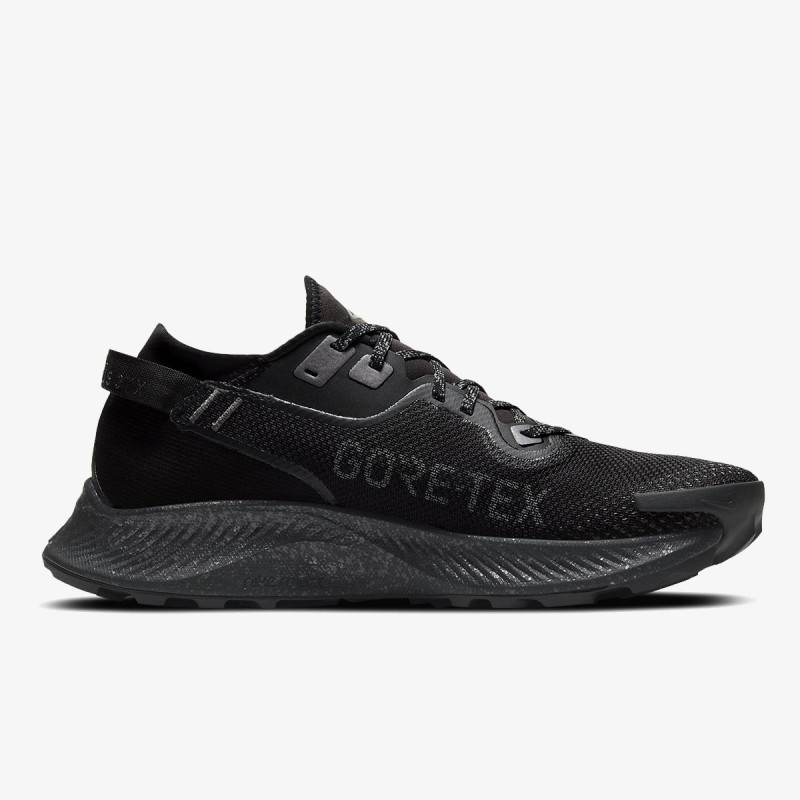 NIKE Patike NIKE PEGASUS TRAIL 2 GTX