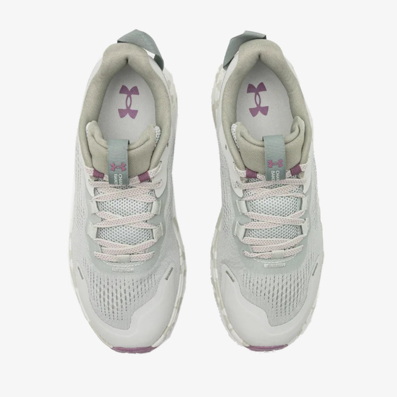 UNDER ARMOUR Patike Charged Bandit 2