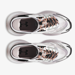 UNDER ARMOUR Patike UA Echo