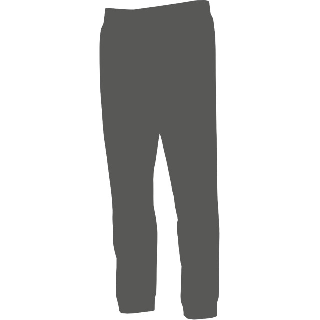 ADIDAS Donji deo trenerke STADIUM PANT