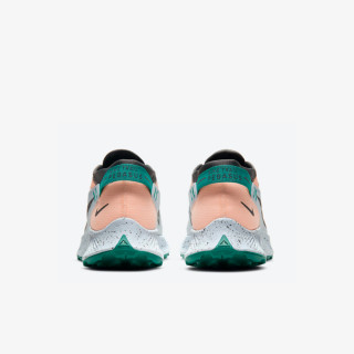 NIKE Patike W NIKE PEGASUS TRAIL 2