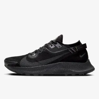 NIKE Patike Pegasus Trail 2 GORE-TEX Men's Trail Running Shoe