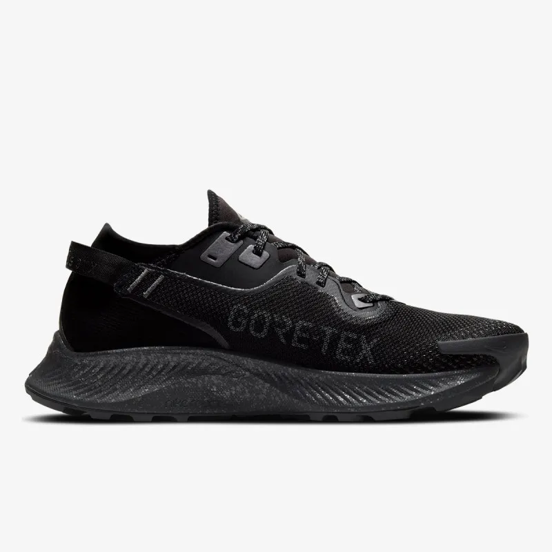 NIKE Patike Pegasus Trail 2 GORE-TEX Men's Trail Running Shoe
