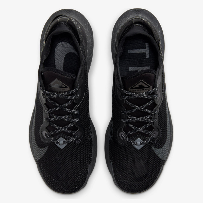 NIKE Patike Pegasus Trail 2 GORE-TEX Men's Trail Running Shoe