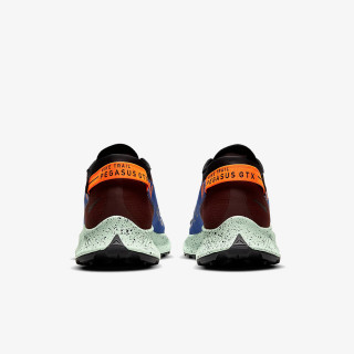 NIKE Patike NIKE PEGASUS TRAIL 2 GTX