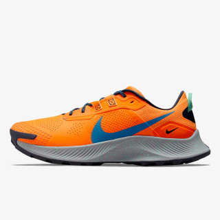 NIKE Patike Pegasus Trail 3