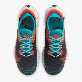 NIKE Patike NIKE PEGASUS TRAIL 2 GTX TH