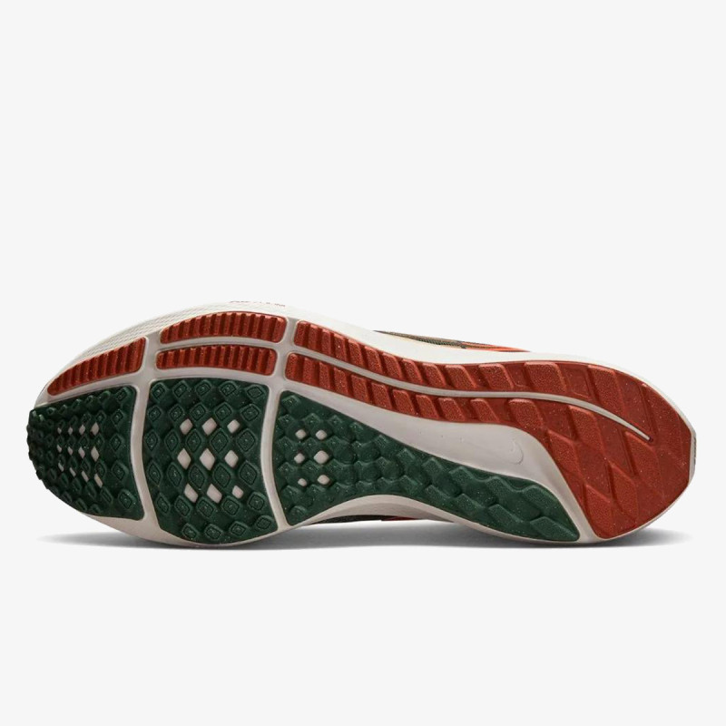 NIKE Patike Air Zoom Pegasus 39 A.I.R. Hola Lou