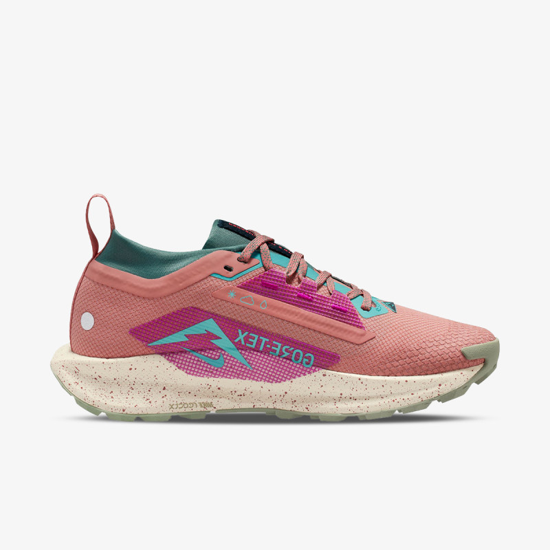 NIKE Patike Pegasus Trail 5 Gtx