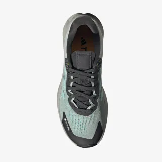ADIDAS Patike TERREX SOULSTRIDE FLOW GTX